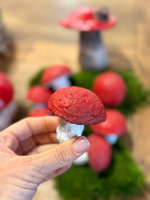 Funghi di natale rossi