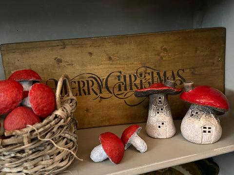 Funghi di natale rossi