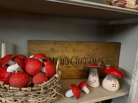 Funghi di natale rossi