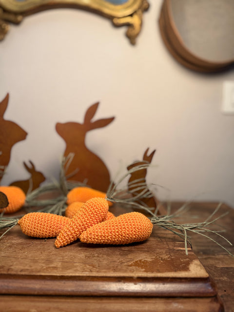 Carote amigurumi