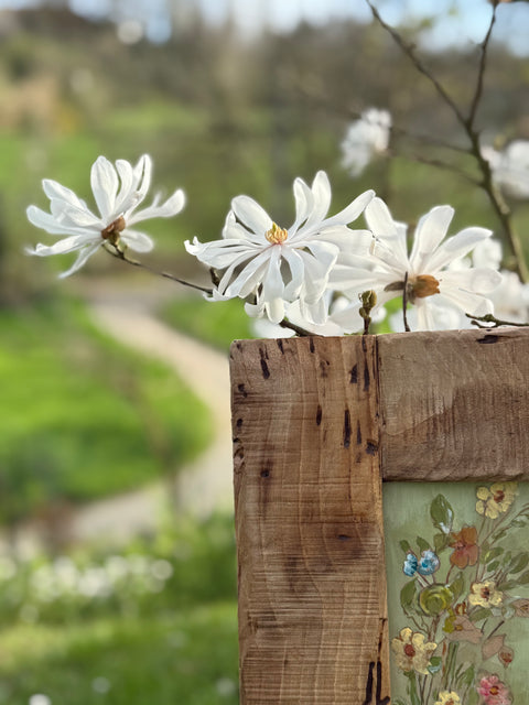 La storia di Beatrix Potter