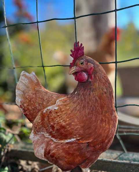 Quadro gallo Giorgio e gallina Agrippina dipinti a mano