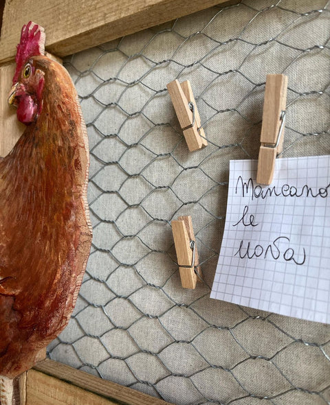 Quadro gallo Giorgio e gallina Agrippina dipinti a mano
