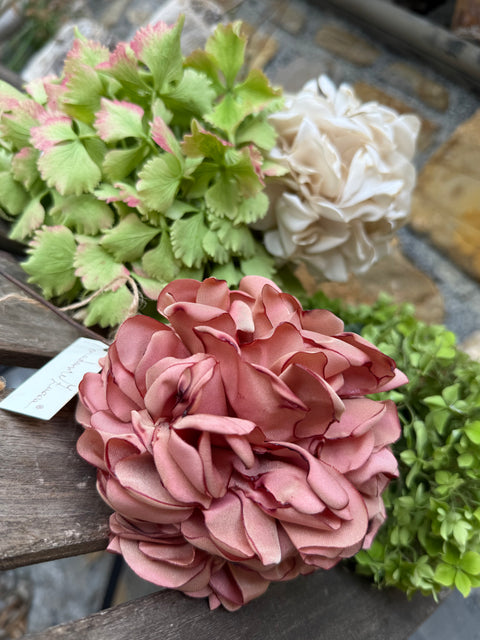 Ortensie
