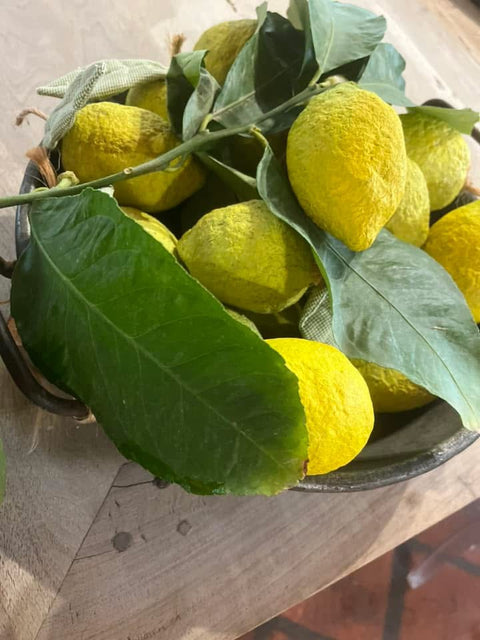 Limoni di carta