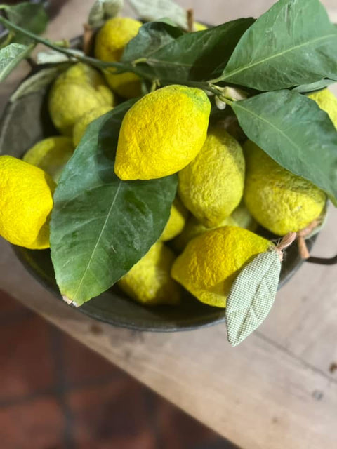 Limoni di carta