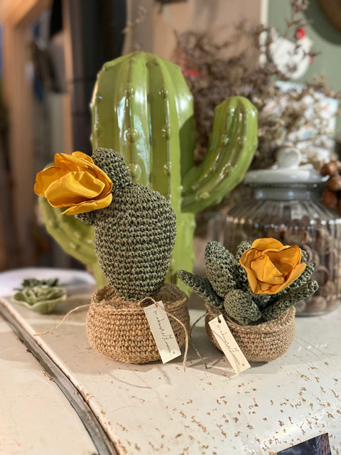 Piante grasse in amigurumi