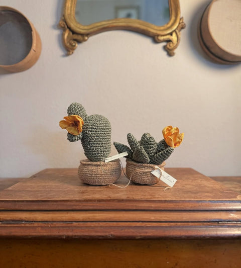 Piante grasse in amigurumi