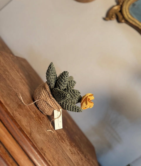 Piante grasse in amigurumi