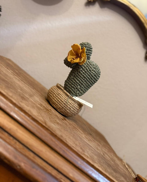 Piante grasse in amigurumi