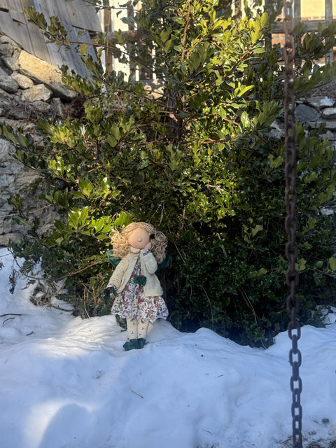 Mira la fata dell'agrifoglio