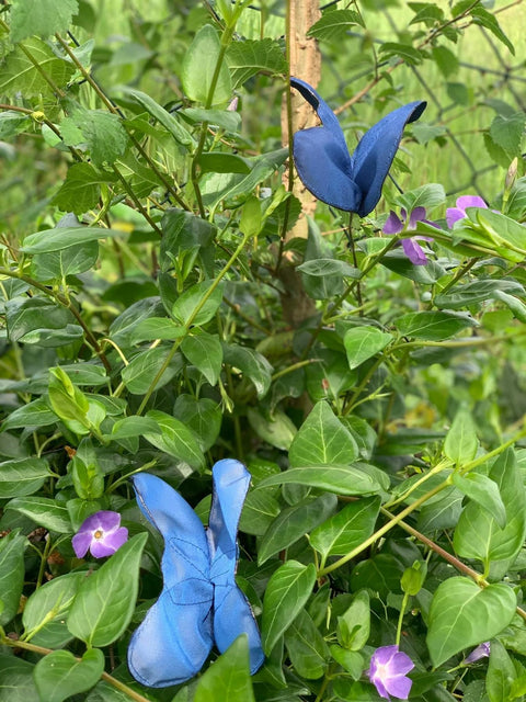 Farfalle
