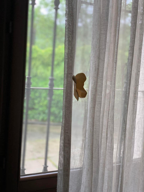 Farfalle