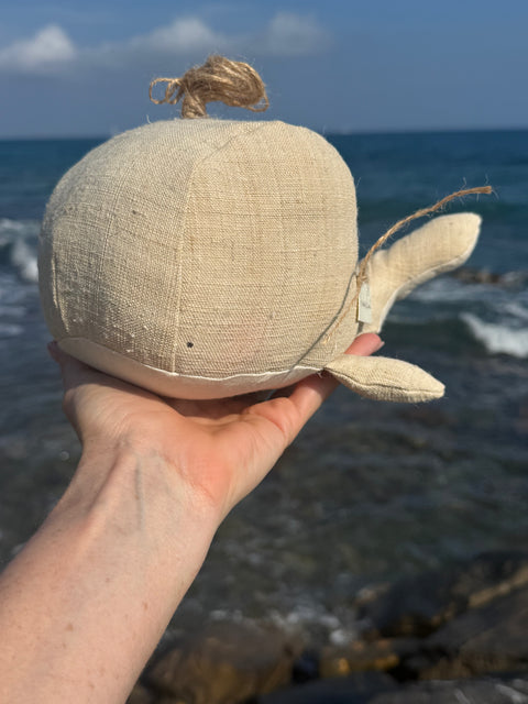 Balena Marilena