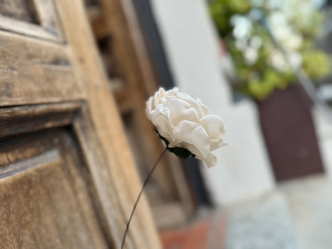 Rosa con gambo in fil di ferro vecchio