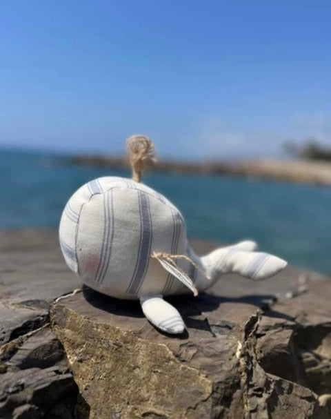 Balena Marilena