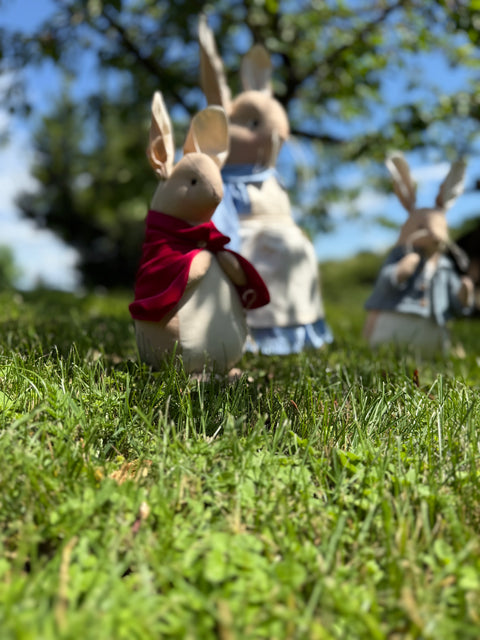 La storia di Beatrix Potter