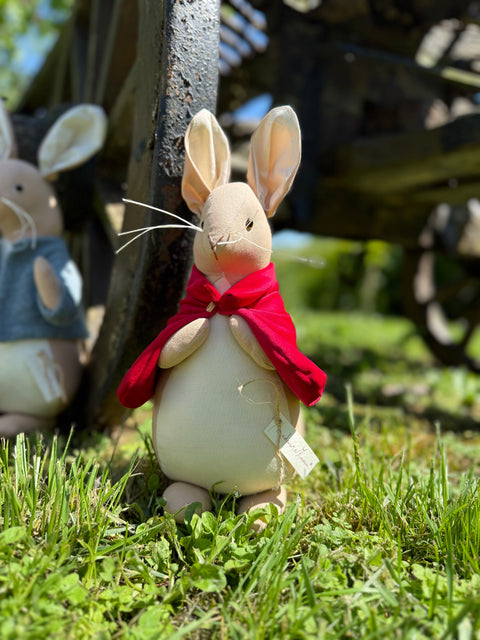 La storia di Beatrix Potter
