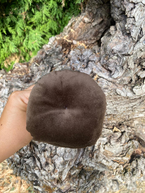 Funghi in velluto con legni di mare.