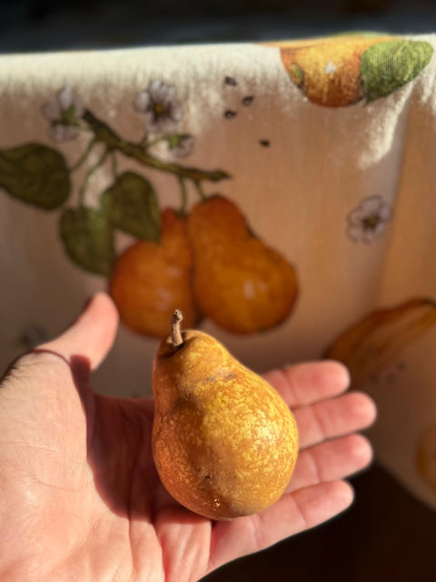 Tovaglia autunnale