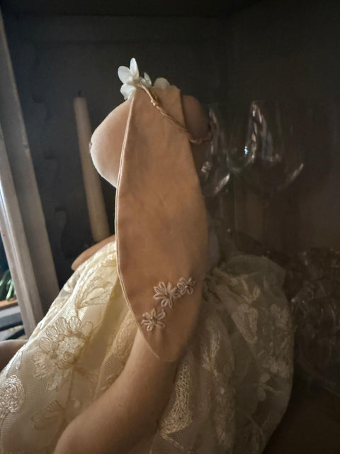 Sposi Coniglietti